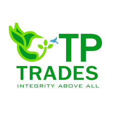 TP Trade Review 2026: Is It Worth Opening An Account?