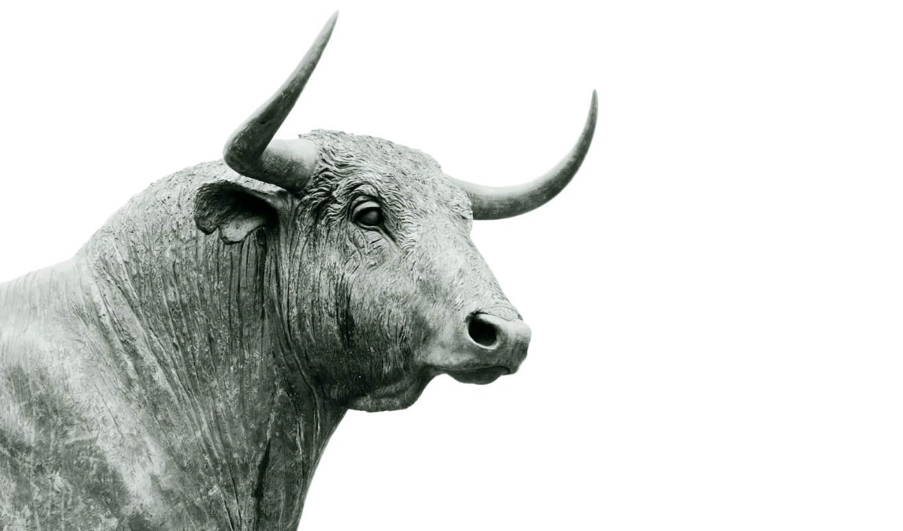 picture of a stone bull signifying the markets