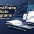 6 Forex Hedging Strategies to Protect Your Investments