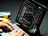 Top 10 Forex Brokers for Beginners in 2026